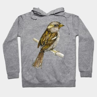 House sparrow colored ink drawing Hoodie